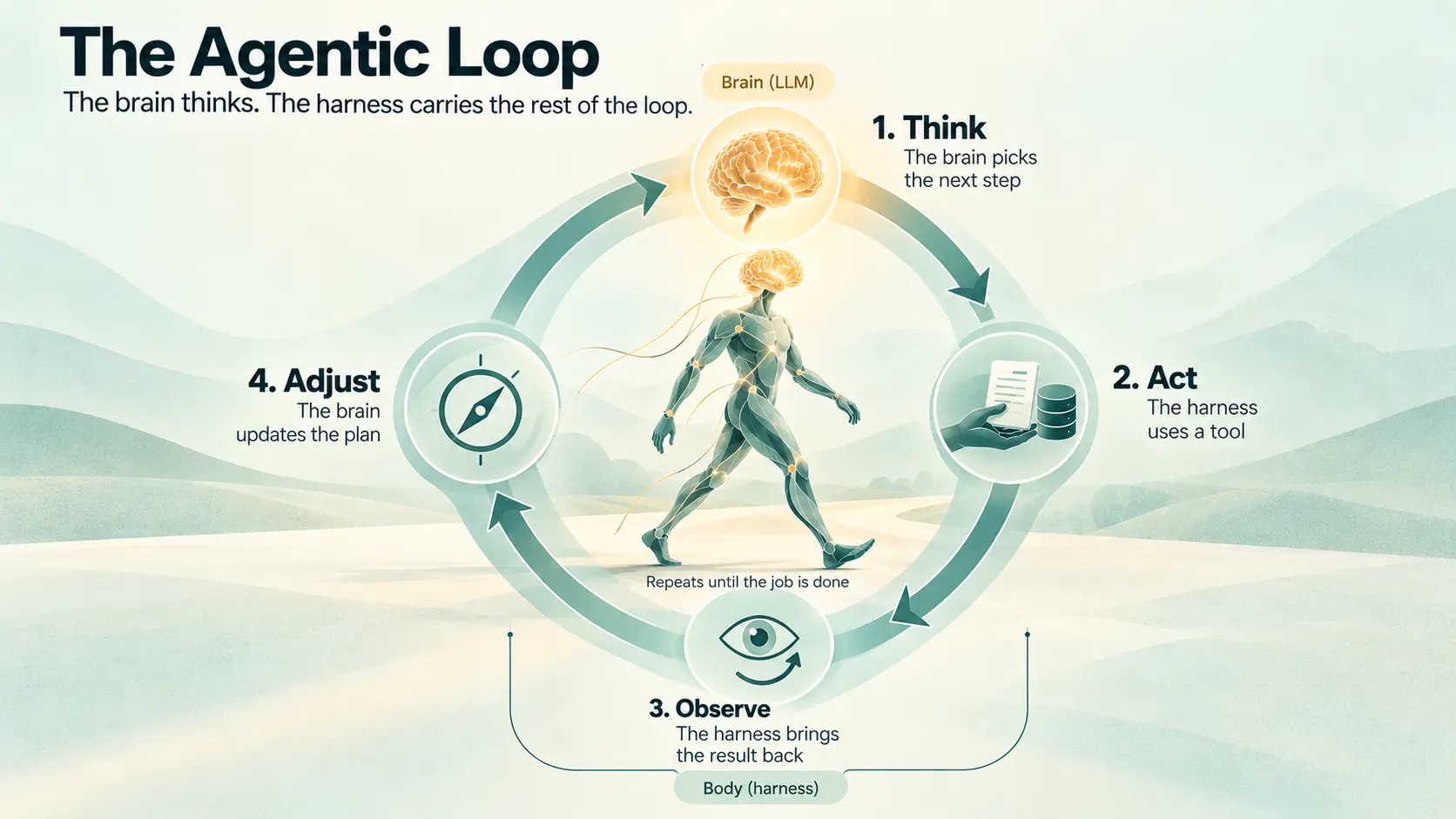 A circular loop around a walking figure: 1 Think, the brain picks the next step; 2 Act, the harness uses a tool; 3 Observe, the harness brings the result back; 4 Adjust, the brain updates the plan; repeating until the job is done