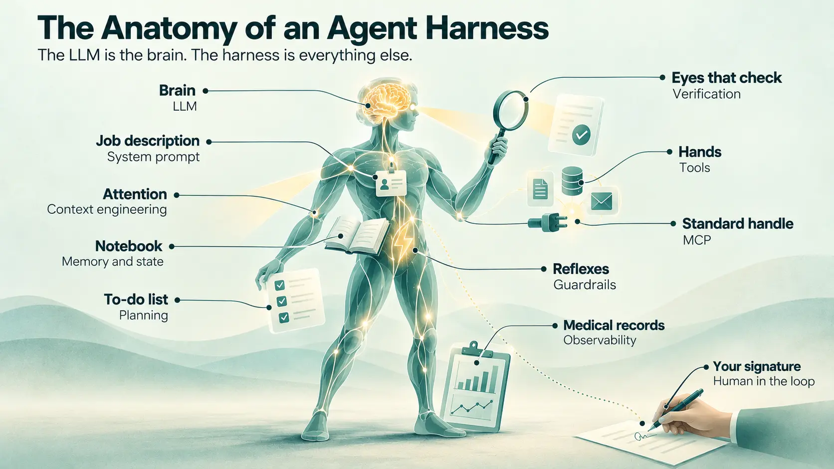 A human figure labelled as an agent harness: brain as the LLM, job description as the system prompt, attention as context engineering, notebook as memory and state, to-do list as planning, eyes that check as verification, hands as tools, standard handle as MCP, reflexes as guardrails, medical records as observability, and your signature as human in the loop